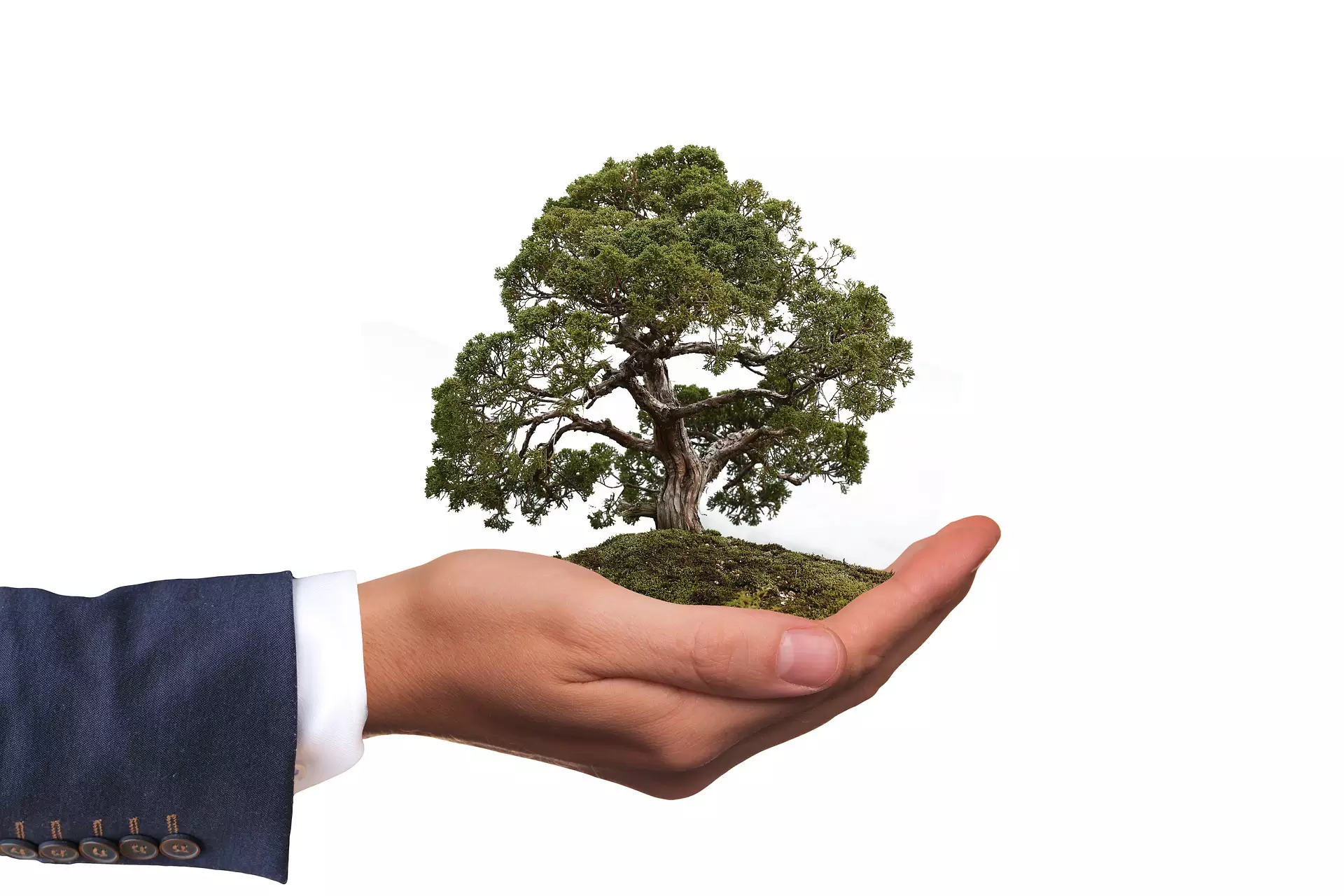 Direito-ambiental-politize-2